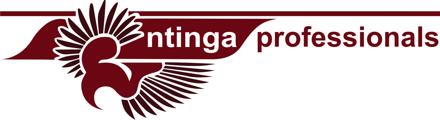 NtingaProfessionals